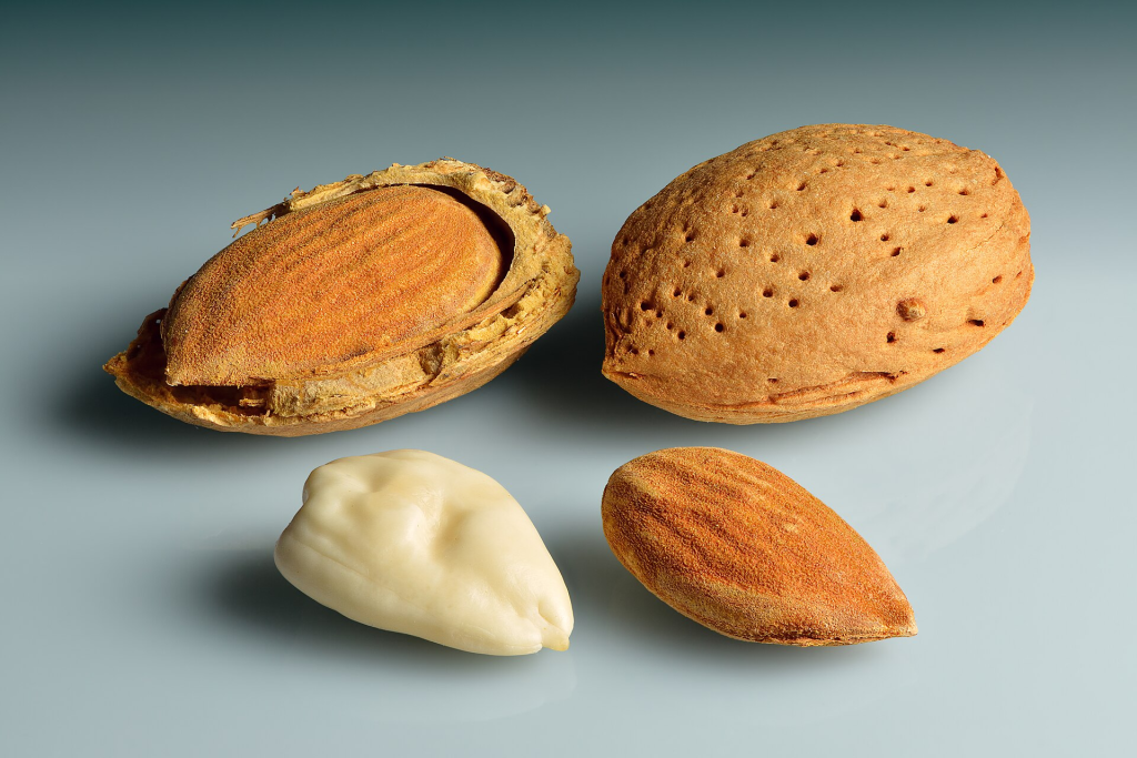 Cold Pressed Almond (Badam) Oil Extraction Process